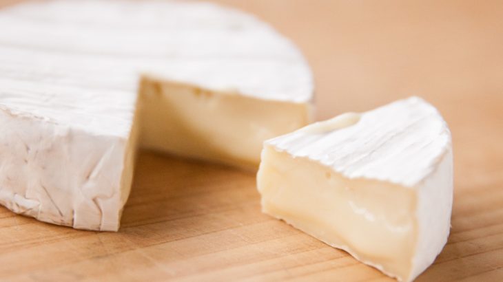 菌活デビューはチーズから始めるのがオススメ